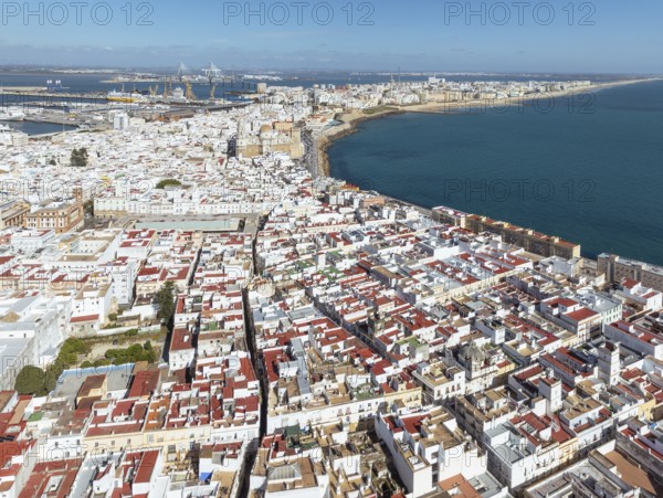 The town of Cádiz with the old quarter in the foreground. Aerial view. Drone shot. Cádiz province, Andalusia, Spain