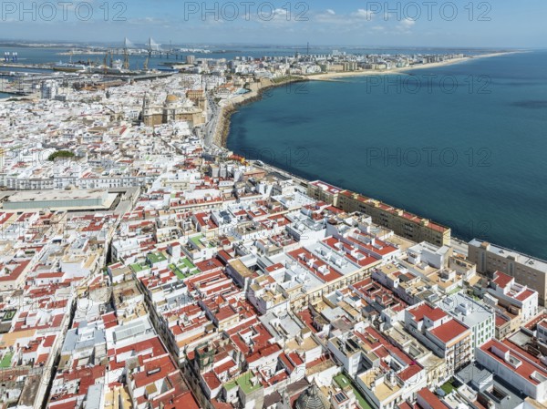 The town of Cádiz with the old quarter in the foreground. Aerial view. Drone shot. Cádiz province, Andalusia, Spain