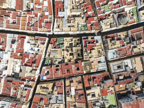 Streets and rooftops in the town of Cádiz. Aerial view. Drone shot. Cádiz province, Andalusia, Spain