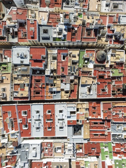 Streets and rooftops in the town of Cádiz. Aerial view. Drone shot. Cádiz province, Andalusia, Spain
