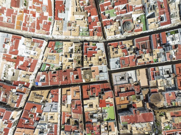 Streets and rooftops in the town of Cádiz. Aerial view. Drone shot. Cádiz province, Andalusia, Spain