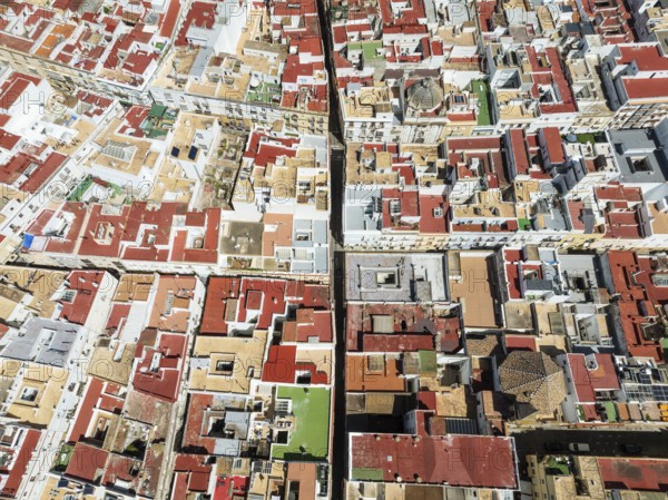 Streets and rooftops in the town of Cádiz. Aerial view. Drone shot. Cádiz province, Andalusia, Spain