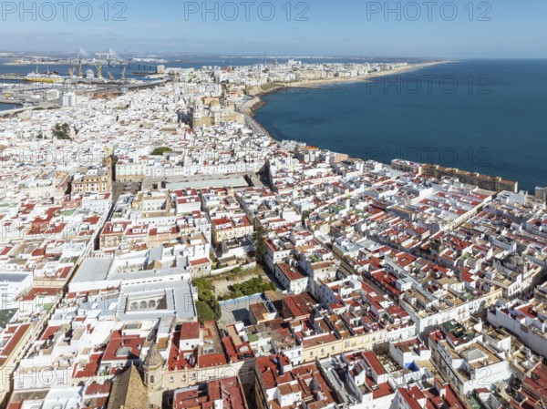 The town of Cádiz with the old quarter in the foreground. Aerial view. Drone shot. Cádiz province, Andalusia, Spain