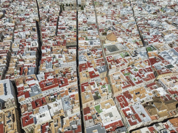 Streets and rooftops in the town of Cádiz. Aerial view. Drone shot. Cádiz province, Andalusia, Spain