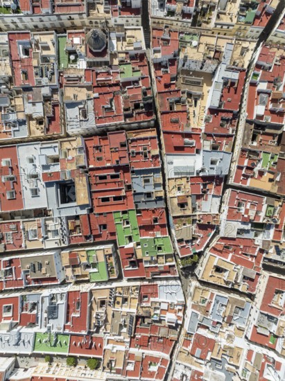 Streets and rooftops in the town of Cádiz. Aerial view. Drone shot. Cádiz province, Andalusia, Spain