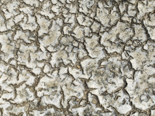 Dried mud in the marshland of the Bahía de Cádiz Nature Reserve. Aerial view. Drone shot. Cádiz province, Andalusia, Spain
