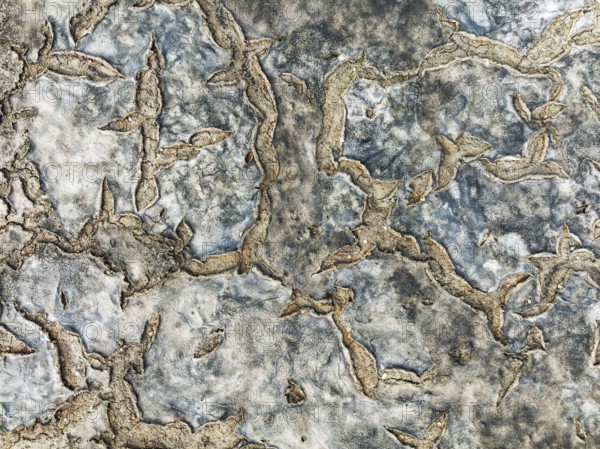 Dried mud in the marshland of the Bahía de Cádiz Nature Reserve. Aerial view. Drone shot. Cádiz province, Andalusia, Spain