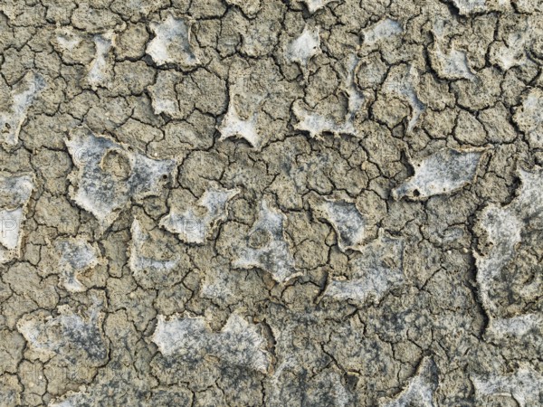 Dried mud in the marshland of the Bahía de Cádiz Nature Reserve. Aerial view. Drone shot. Cádiz province, Andalusia, Spain