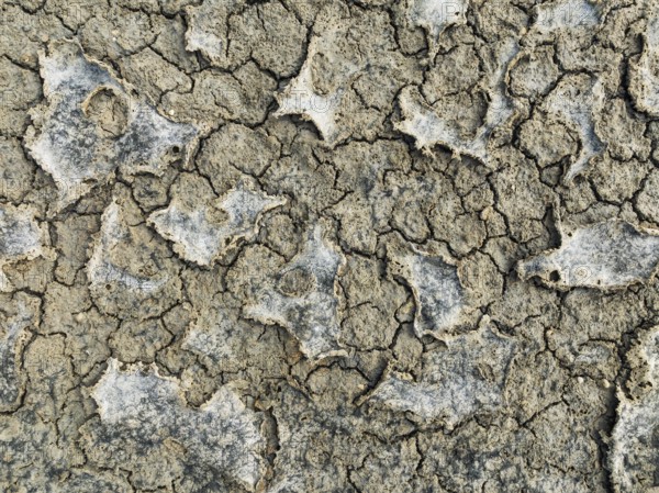 Dried mud in the marshland of the Bahía de Cádiz Nature Reserve. Aerial view. Drone shot. Cádiz province, Andalusia, Spain