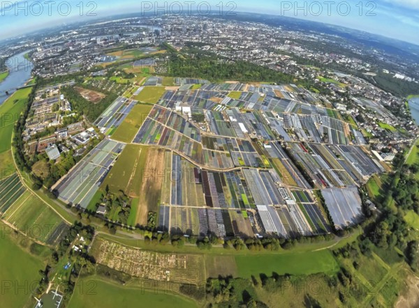 Aerial view, horticulture and agricultural use in the district of Volmerswerth, shapes and colours, globe, fisheye image, 360 degree image, tiny world, little planet, fisheye image, Volmerswerth, Düsseldorf, Ruhr area, North Rhine-Westphalia, Germany, DE, Europe, fish-eye lens, fisheye lens, Little Planet, aerial photography, aerial photography, super wide-angle lens, Tiny World, overview, bird's-eye view, globe, birds-eyes view, fisheye lens, insta360 camera, overview