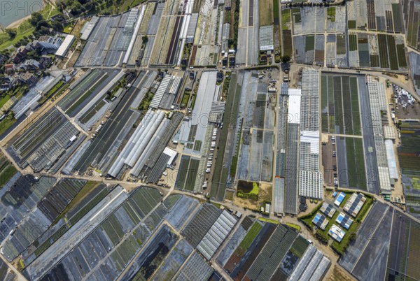 Aerial view, horticultural farms and agricultural use in the district of Volmerswerth, shapes and colours with graphical representation, Volmerswerth, Düsseldorf, Ruhr area, North Rhine-Westphalia, Germany, DE, Europe, aerial view, aerial photography, aerial photography, overview, bird's-eye view, overview