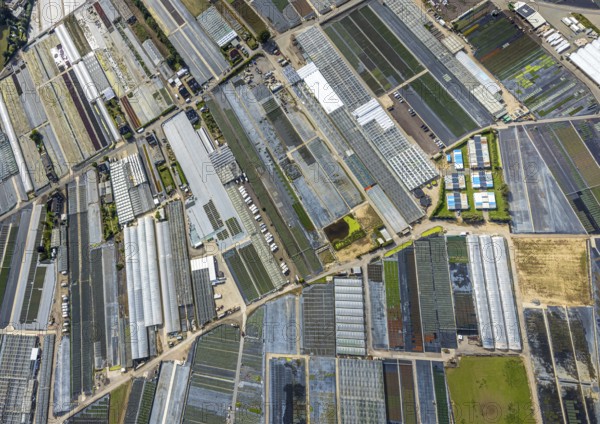 Aerial view, horticultural farms and agricultural use in the district of Volmerswerth, shapes and colours with graphical representation, Volmerswerth, Düsseldorf, Ruhr area, North Rhine-Westphalia, Germany, DE, Europe, aerial view, aerial photography, aerial photography, overview, bird's-eye view, overview