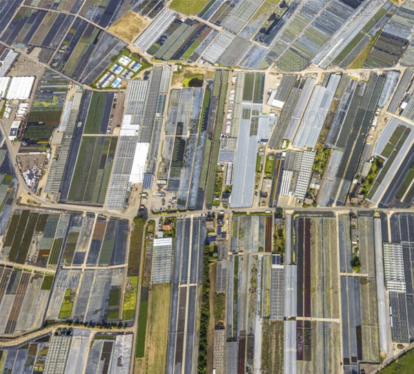 Aerial view, horticultural farms and agricultural use in the district of Volmerswerth, shapes and colours with graphical representation, Volmerswerth, Düsseldorf, Ruhr area, North Rhine-Westphalia, Germany, DE, Europe, aerial view, aerial photography, aerial photography, overview, bird's-eye view, overview