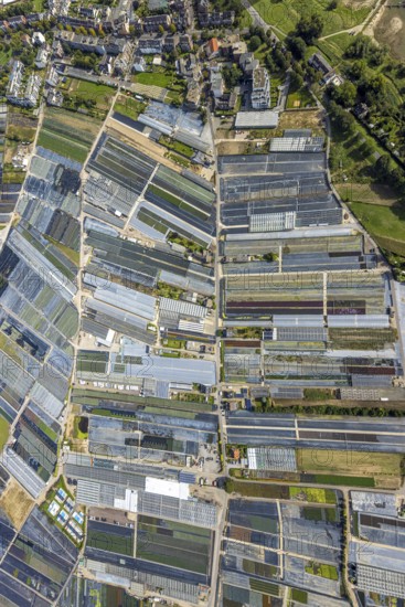 Aerial view, horticultural farms and agricultural use in the district of Volmerswerth, shapes and colours with graphic representation, Volmerswerth, Düsseldorf, Ruhr area, North Rhine-Westphalia, Germany