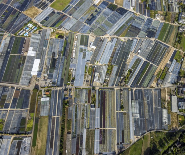 Aerial view, horticultural farms and agricultural use in the district of Volmerswerth, shapes and colours with graphical representation, Volmerswerth, Düsseldorf, Ruhr area, North Rhine-Westphalia, Germany, DE, Europe, aerial view, aerial photography, aerial photography, overview, bird's-eye view, overview