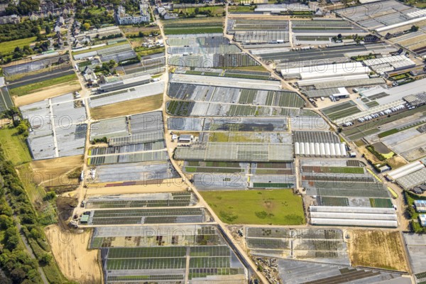 Aerial view, horticultural farms and agricultural use in the district of Volmerswerth, shapes and colours with graphical representation, Volmerswerth, Düsseldorf, Ruhr area, North Rhine-Westphalia, Germany, DE, Europe, aerial view, aerial photography, aerial photography, overview, bird's-eye view, overview