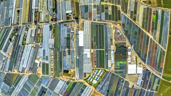 Aerial view, horticulture and agricultural use in the district of Volmerswerth, shapes and colours, globe, fisheye image, 360 degree image, tiny world, little planet, fisheye image, Volmerswerth, Düsseldorf, Ruhr area, North Rhine-Westphalia, Germany, DE, Europe, fish-eye lens, fisheye lens, Little Planet, aerial photography, aerial photography, super wide-angle lens, Tiny World, overview, bird's-eye view, globe, birds-eyes view, fisheye lens, insta360 camera, overview