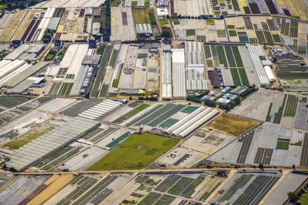 Aerial view, horticultural farms and agricultural use in the district of Volmerswerth, shapes and colours with graphical representation, Volmerswerth, Düsseldorf, Ruhr area, North Rhine-Westphalia, Germany, DE, Europe, aerial view, aerial photography, aerial photography, overview, bird's-eye view, overview