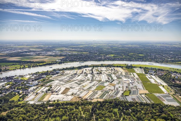 Aerial view, horticultural farms and agricultural use in the district of Volmerswerth, shapes and colours with graphic representation, river Rhine and distant view, blue sky with clouds, Volmerswerth, Düsseldorf, Ruhr area, North Rhine-Westphalia, Germany, DE, Europe, aerial view, aerial photography, aerial photography, overview, bird's-eye view, overview