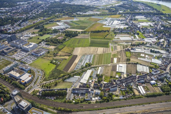 Aerial view, agricultural areas and horticultural businesses, district Hamm, Düsseldorf, Ruhr area, North Rhine-Westphalia, Germany, DE, Europe, agriculture, aerial view, aerial photography, aerial photography, overview, bird's-eye view, overview
