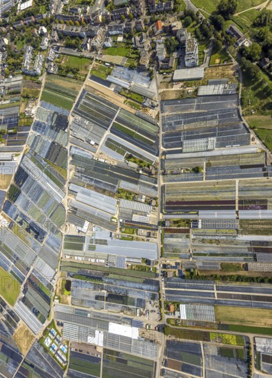Aerial view, horticultural farms and agricultural use in the district of Volmerswerth, shapes and colours with graphical representation, Volmerswerth, Düsseldorf, Ruhr area, North Rhine-Westphalia, Germany, DE, Europe, aerial view, aerial photography, aerial photography, overview, bird's-eye view, overview