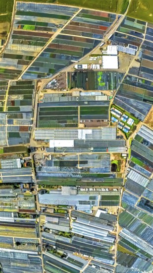 Aerial view, horticulture and agricultural use in the district of Volmerswerth, shapes and colours, globe, fisheye image, 360 degree image, tiny world, little planet, fisheye image, Volmerswerth, Düsseldorf, Ruhr area, North Rhine-Westphalia, Germany, DE, Europe, fish-eye lens, fisheye lens, Little Planet, aerial photography, aerial photography, super wide-angle lens, Tiny World, overview, bird's-eye view, globe, birds-eyes view, fisheye lens, insta360 camera, overview
