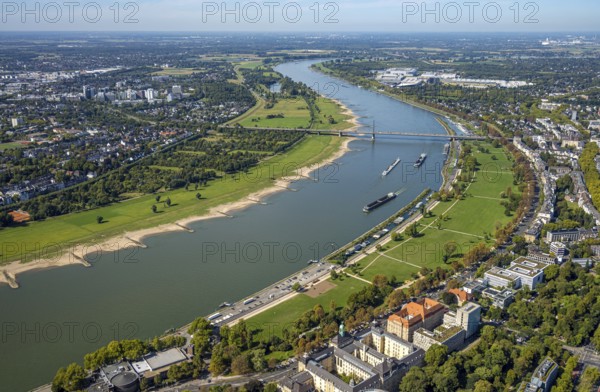 Aerial view, Theodor-Heuss-Bridge and inland navigation on the river Rhine, Rheinpark Golzheim, left Niederkasseler Deich, view to the exhibition centre, Niederkassel, Düsseldorf, Ruhr area, North Rhine-Westphalia, Germany, inland navigation, bridge, DE, Europe, river, aerial view, aerial photography, aerial photography, road traffic, overview, bird's-eye view, overview