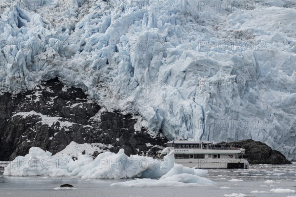 Holgate Glacier, Kenai Fjords National Park, Alaska, USA