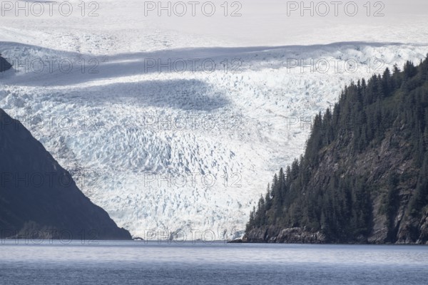Holgate Glacier, Kenai Fjords National Park, Alaska, USA