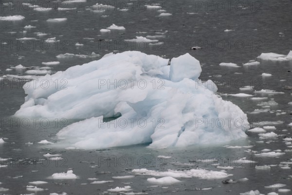 Iceberg, Glacier Bay, Alaska, USA