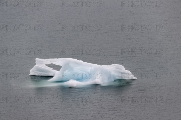 Iceberg, Glacier Bay, Alaska, USA