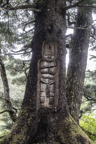 Totem pole carved into a tree, Juneau, Alaska, USA
