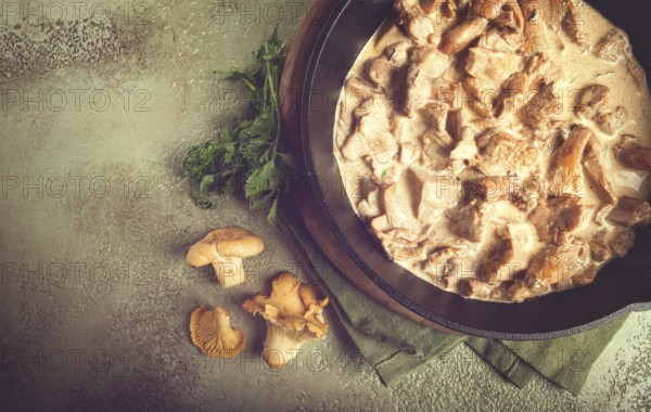 Fried chanterelle mushrooms, in cream sauce, in a cast-iron pan, homemade, no people