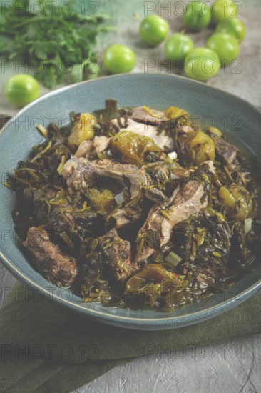 Chakapuli, Georgian dish, stewed meat with herbs and tkemali, in white wine, homemade, no people
