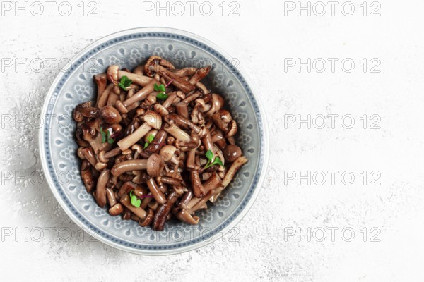 Pickled honey mushrooms, in a bowl, homemade, top view, no people