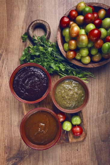 Set of tkemali sauces, three types of tkemali sauce, in ceramic bowls, top view, Georgian cuisine, no people