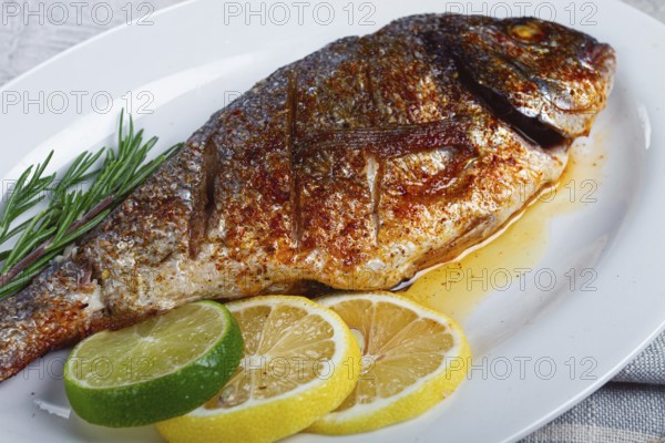 Baked dorado fish, in the oven, fried dorado, with spices and herbs, on a white plate, top view, homemade, no people