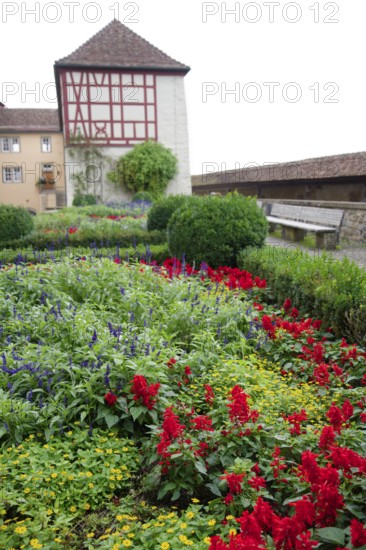 Flower bed at Comburg Castle, Benedictine monastery, Way of St James, pilgrimage route, pilgrims, Schwäbisch Hall, Hohenlohe, Germany
