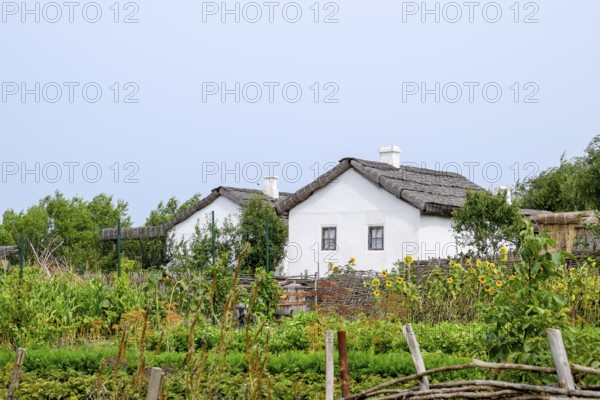 Adobe hut with a roof of reeds. Taman, Krasnodar Krai, Russia