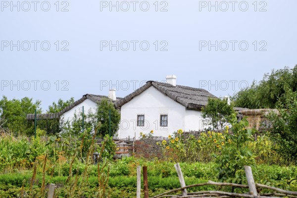Adobe hut with a roof of reeds. Taman, Krasnodar Krai, Russia