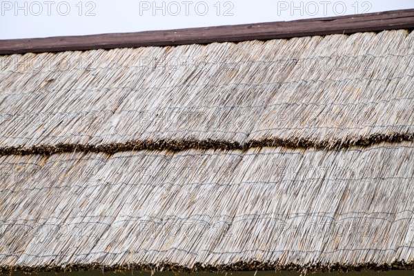 The slope of the roof of reeds and straw. Taman, Krasnodar Krai, Russia