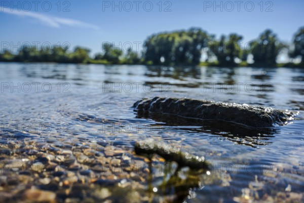 The calm waters of the river reflect the blue sky. Stones lie on the banks and the sun shines on a peaceful landscape with trees in the background. Bogen, Lower Bavaria