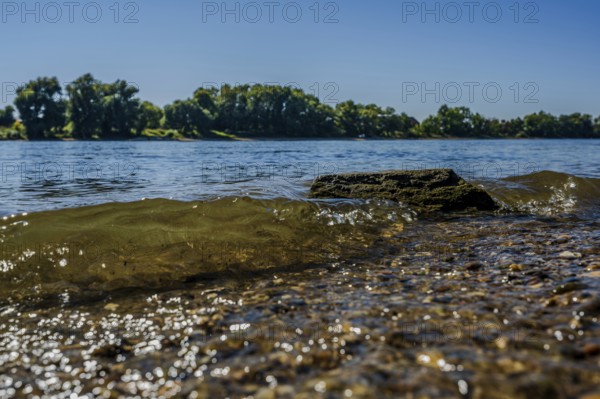 Tranquillity on the riverbank, where gentle waves crash against stones. In the background there is lush greenery with trees under a clear blue sky. Ideal for a relaxing stroll. Bogen, Lower Bavaria