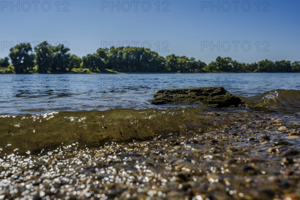 On the banks of a calm river, gentle waves crash against the stones. Green trees line the bank under a clear blue sky. A peaceful moment in nature. Bogen, Lower Bavaria