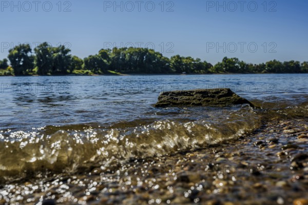 On a clear day, the river flows calmly while gentle waves crash against the stones. The bank is surrounded by trees and offers a peaceful atmosphere. Bogen, Lower Bavaria