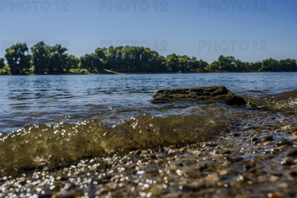 The sun shines on the calm waters of a river. Small waves gently lap against the shore, while the green bank with trees and bushes can be seen. Bogen, Lower Bavaria