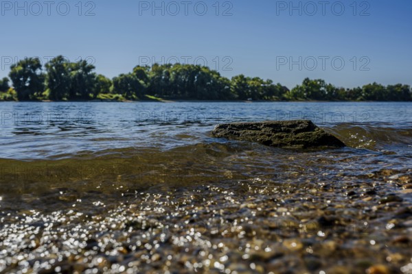 The gentle waves reflect the sunlight while a rock stands in the water. Shoreline vegetation provides a beautiful contrast to the clear sky. The scenery radiates tranquillity. Bogen, Lower Bavaria