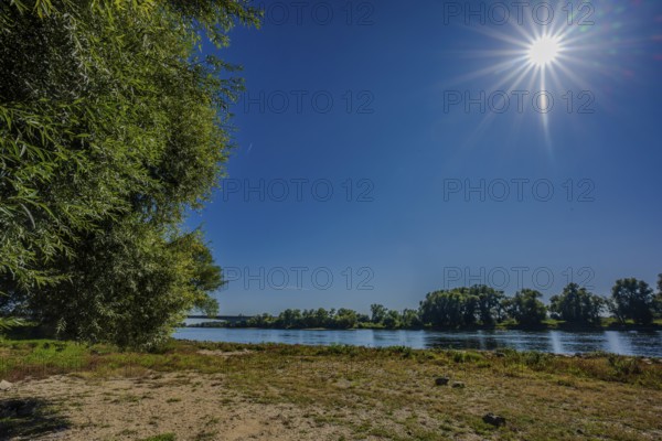 The picture shows a calm river landscape on a sunny day. The sky is clear and blue, with a few trees on the banks providing shade. Bogen, Lower Bavaria