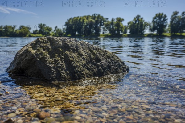 A large stone lies in the shallow water of a calm river. In the background you can see trees stretching along the bank. It is a clear and sunny day. Bogen, Lower Bavaria