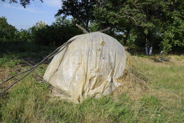 Haystack. A haystack of grass hay. Krasnodar, Russia